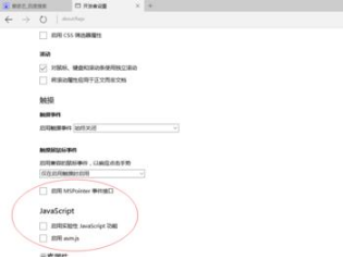 Win10 Edge浏览器中不常用的四个隐藏设置的使用方法