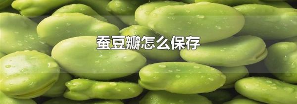 蚕豆瓣怎么保存