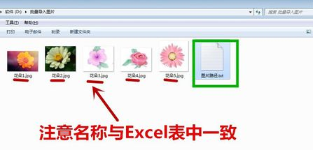 excel怎么批量导入图片_excel批量导入图片指南