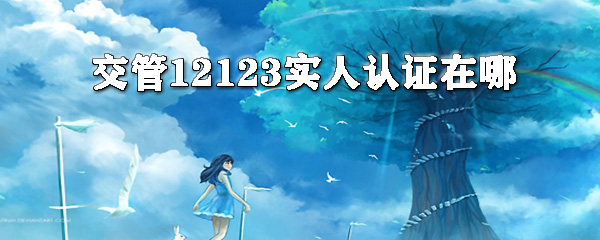 交交管12123怎么实人认证？交管12123实人认证方法分享