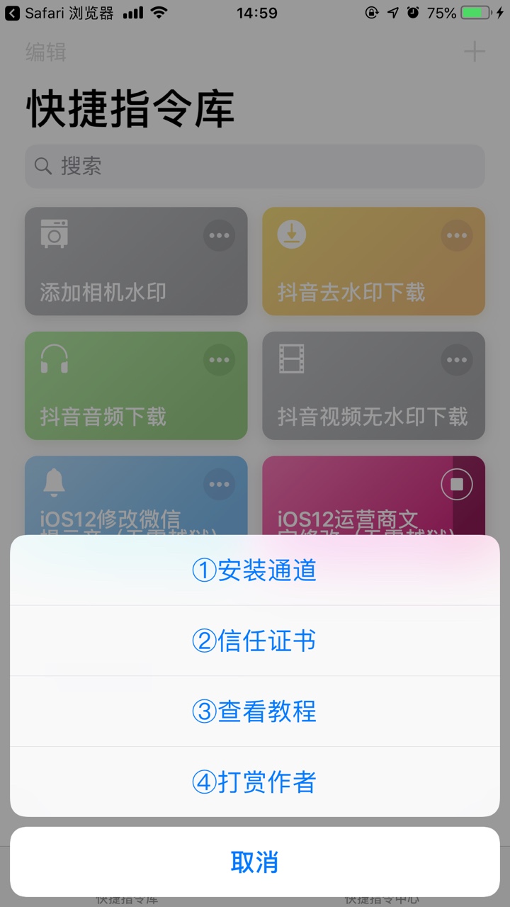 抖音ios12运营商文字更改具体操作方法