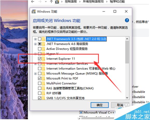 Win10系统怎么卸载IE浏览器？Win10系统卸载IE浏览器教程