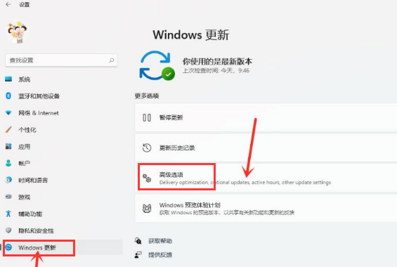 Windows11打开传递优化功能教程分享