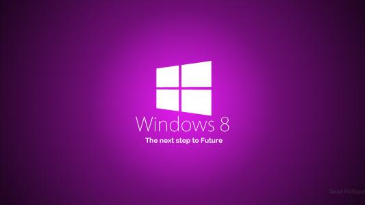 win8系统出现flash插件加载失败具体解决方法