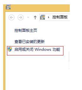 iis的64位win8.1的配置是什么?