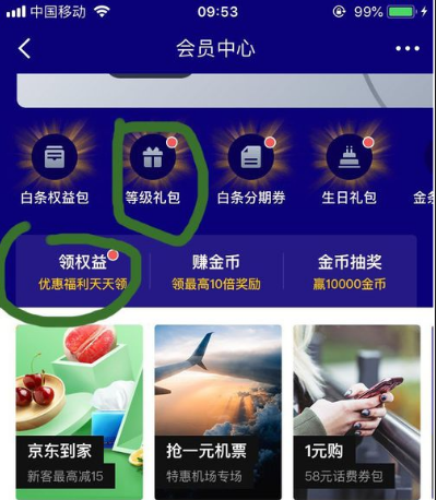 京东白条临时额度不见了怎么办