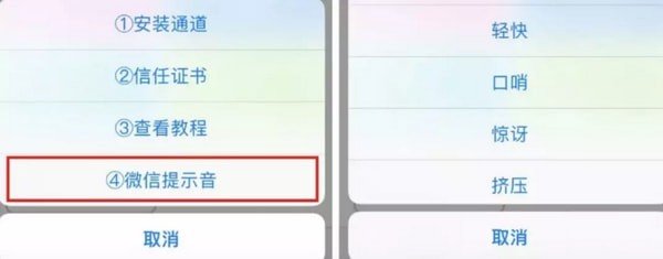 苹果手机中更改微信提示音具体操作步骤