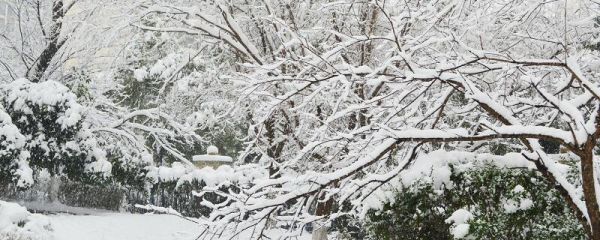 下雪朋友圈文案 下雪朋友圈说说文案