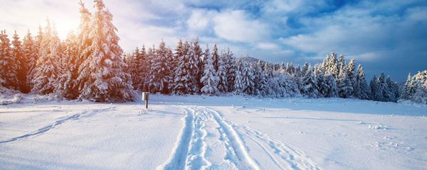 关于下雪的文案 朋友圈下雪的文案