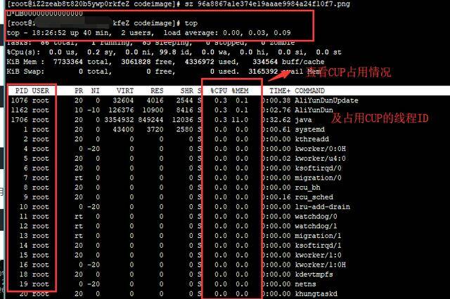 Java进程cpu占用过高问题解决