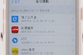 支付宝APP查看授权基础操作