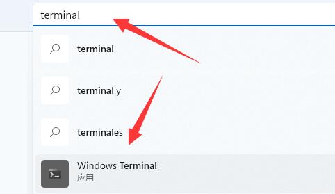 win11提示找不到wt.exe解决方法