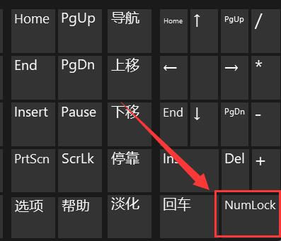 win11键盘打不了字按键恢复教程