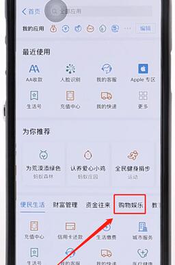 使用支付宝刷脸支付的详细操作