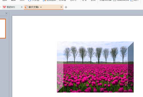 WPS为图片添加立体棱台效果具体操作方法