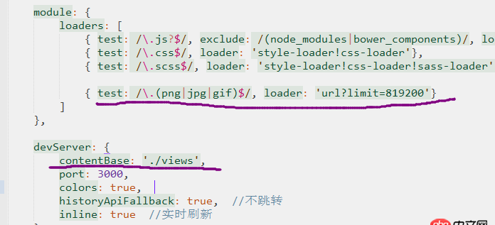 javascript - 请教大侠，webpack打包图片的时候，页面上显示不出来，还有网站根目录的疑问？