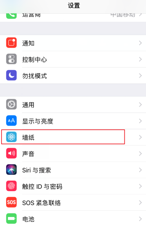 抖音设置为iPhone动态壁纸的具体操作方法