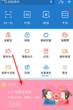 支付宝AR识花怎么用 支付宝AR识花玩法教程