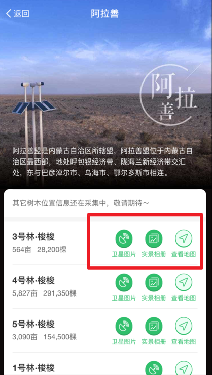 支付宝App查看蚂蚁森林种树实景图具体操作方法