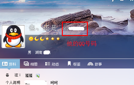 QQ怎么查看好友的qq号