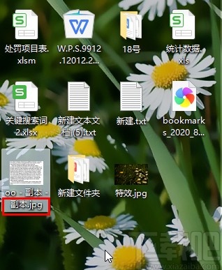 win10系统显示文件后缀名的方法