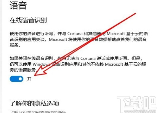 win10系统开启在线语音识别功能的方法