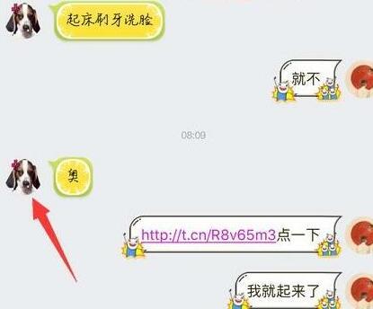 QQ打开链接必成狗头像怎么回事 QQ为什么突然变成狗头像