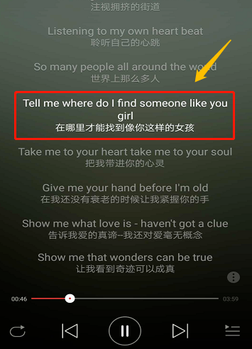 网易云音乐APP设置同时显示中英文歌词操作步骤