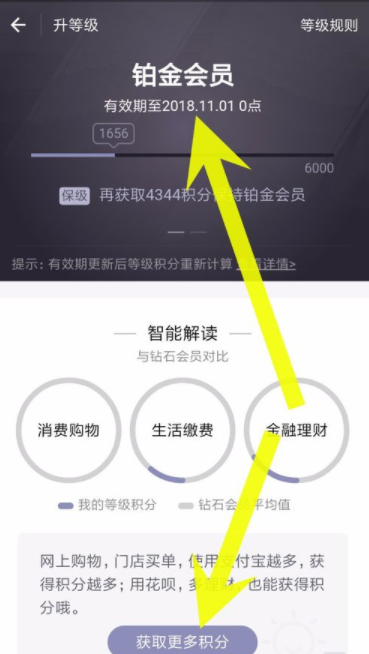 支付宝怎么查看蚂蚁会员等级_蚂蚁会员具体操作步骤