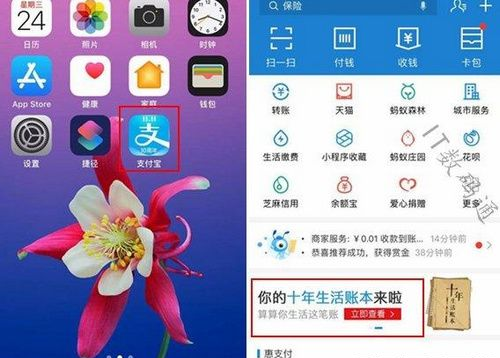 支付宝我的十年生活账本如何查看？我的十年生活账本查看方法介绍！