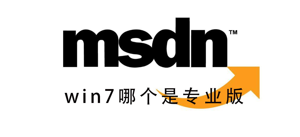 msdn我告诉你win7哪个是专业版