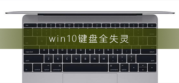 win10键盘全失灵