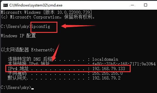 Windows11测试网络地址延迟步骤介绍