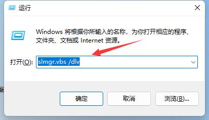 win11激活信息查询教程