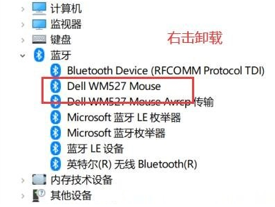 Windows10卸载隐藏蓝牙设备步骤介绍