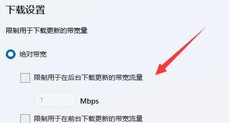 Windows11限制带宽流量方法介绍