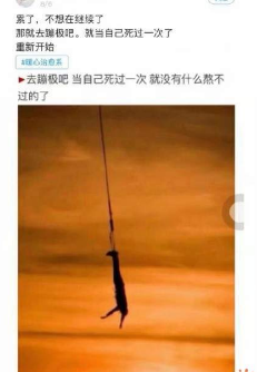 抖音长颈鹿上吊什么梗_长颈鹿上吊什么意思