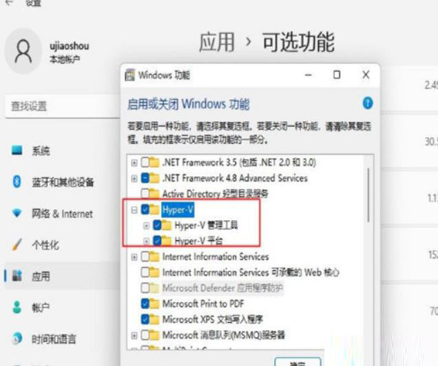 Win11运行VMware时蓝屏怎么回事