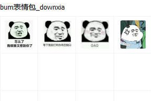 抖音bum高清动图分享 熊猫bum表情包大全