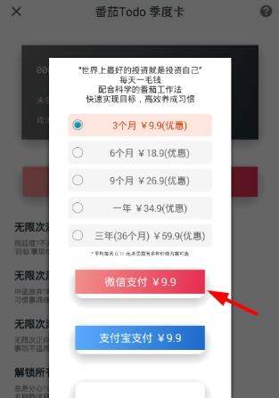 番茄todo如何备份_番茄todo如何进行微信充值