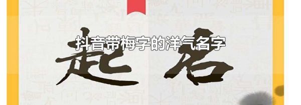 抖音带梅字的洋气名字