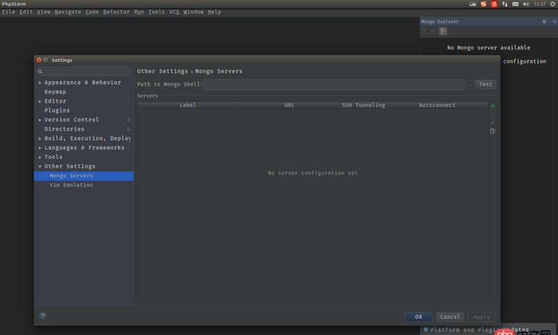 node.js - 如何在webstorm中启动并连接mongodb数据库呢？