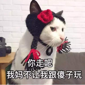 抖音你走吧我妈不让我跟傻子玩 猫咪搞怪高清表情包分享