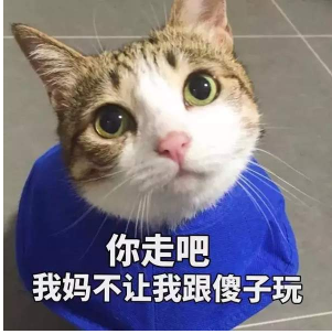 抖音你走吧我妈不让我跟傻子玩 猫咪搞怪高清表情包分享