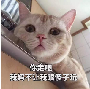 抖音你走吧我妈不让我跟傻子玩 猫咪搞怪高清表情包分享