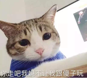 抖音你走吧我妈不让我跟傻子玩 猫咪搞怪高清表情包分享