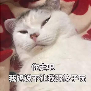 抖音你走吧我妈不让我跟傻子玩 猫咪搞怪高清表情包分享