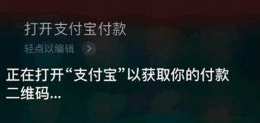 支付宝怎么使用语音支付？支付宝语音支付使用教程介绍