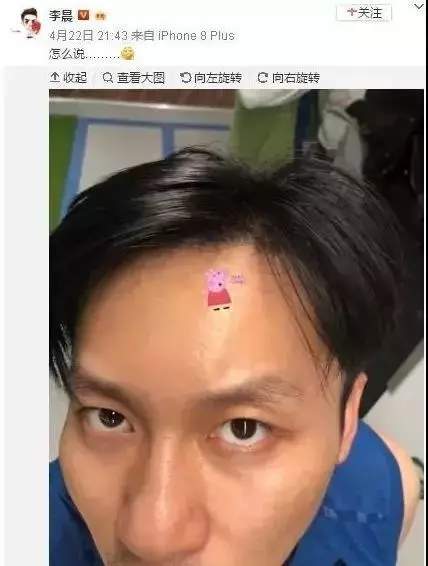 抖音小猪佩奇惨遭封杀_小猪佩奇为什么被称为社会人