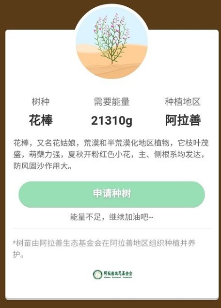 蚂蚁森林花棒是什么 蚂蚁森林花姑娘如何种